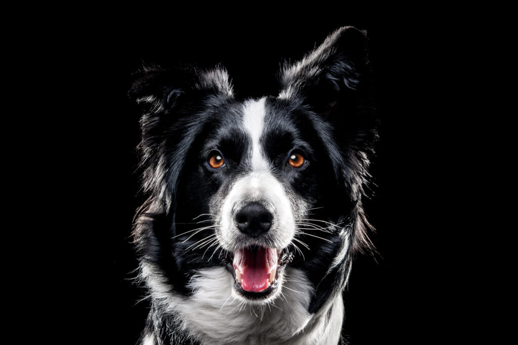shutterstock 1432561079 scaled 1