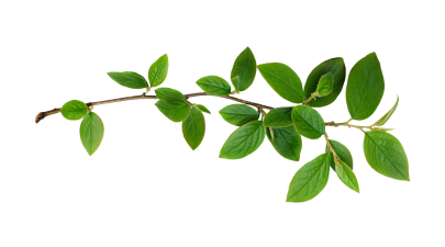 263065272011212