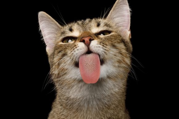 shutterstock 788142694 scaled 1